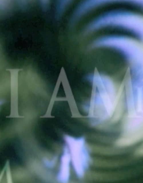 I AM Video with TDW